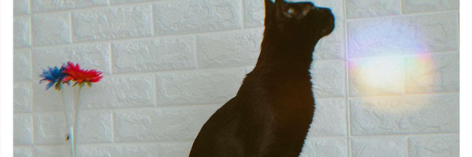 rookienn's profile banner image