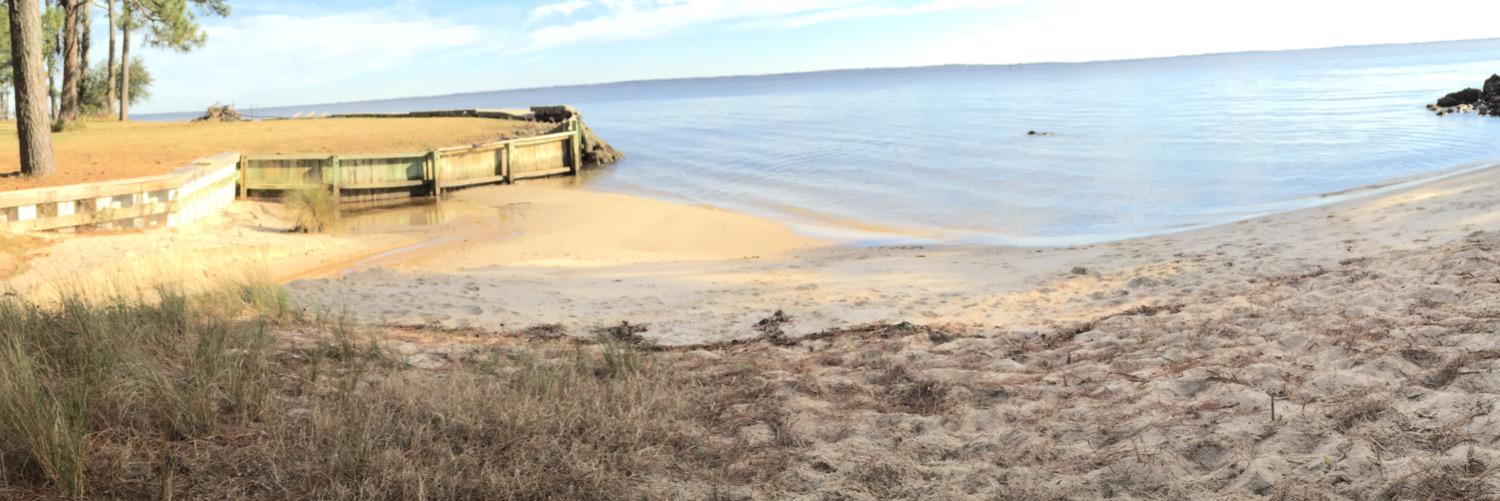 alison_brenner banner