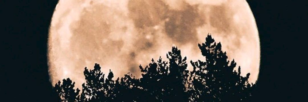 ga013_'s profile banner image