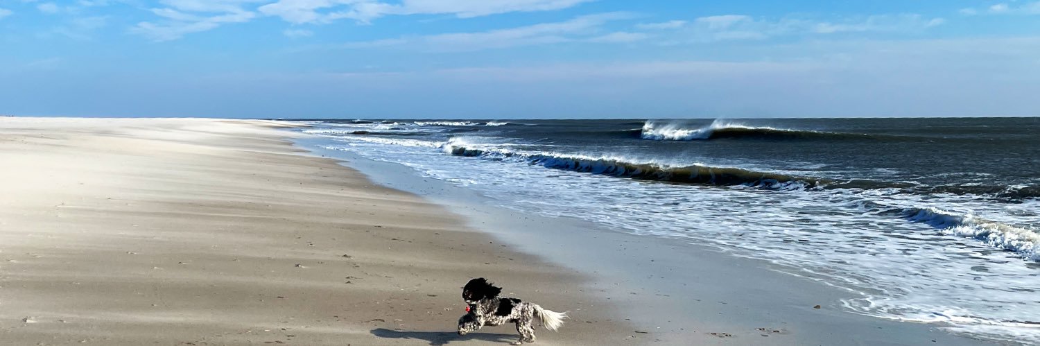 Leigh Senderowicz banner