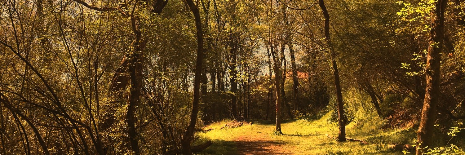 MoFreeReed's profile banner image