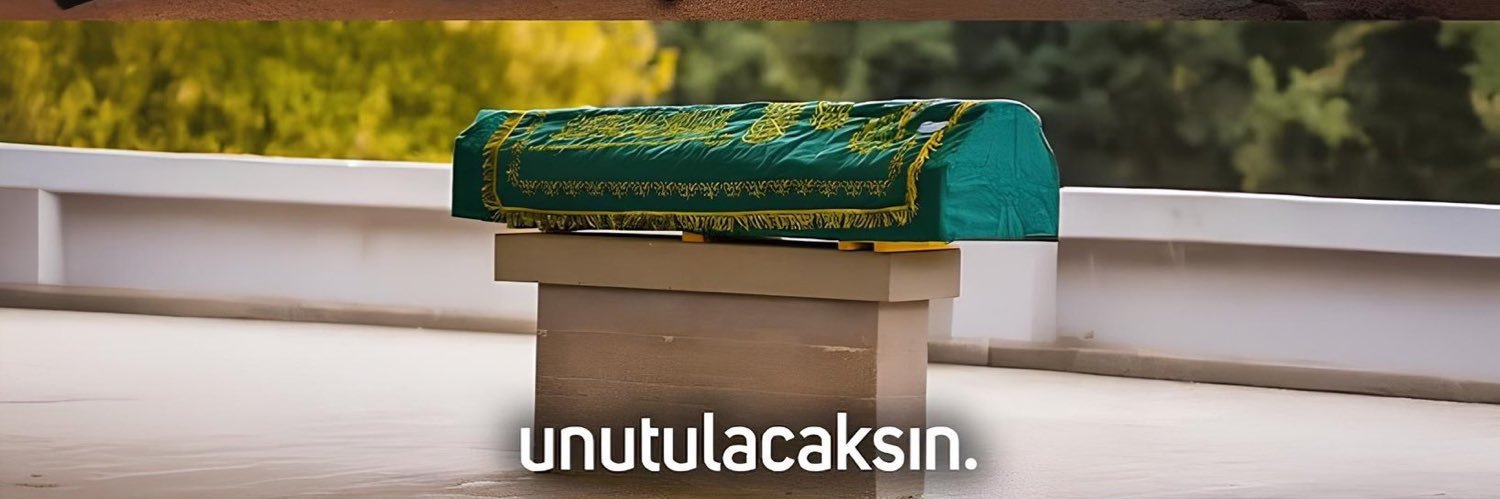 odamzindanim's profile banner image