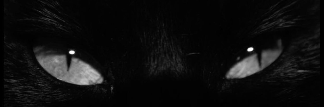 Mah Noché banner