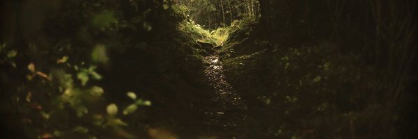 TH3P3ACEBRINGER Profile Banner