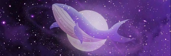 ZenaEnna's profile banner image