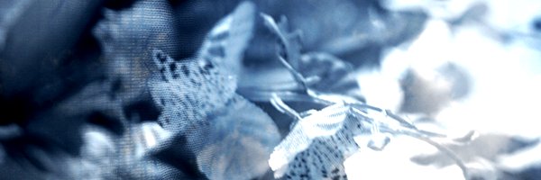 ime banner