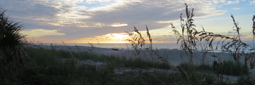 robinlamb's profile banner image
