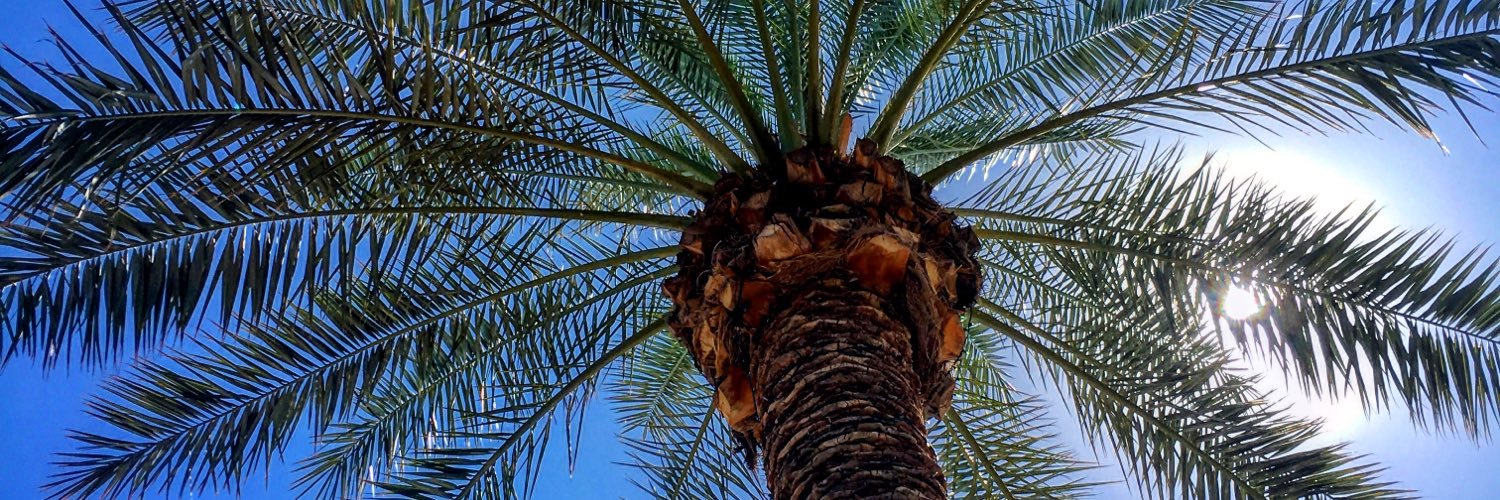 SydneyKSU's profile banner image