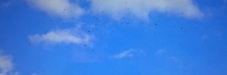 Distraction du Jour banner