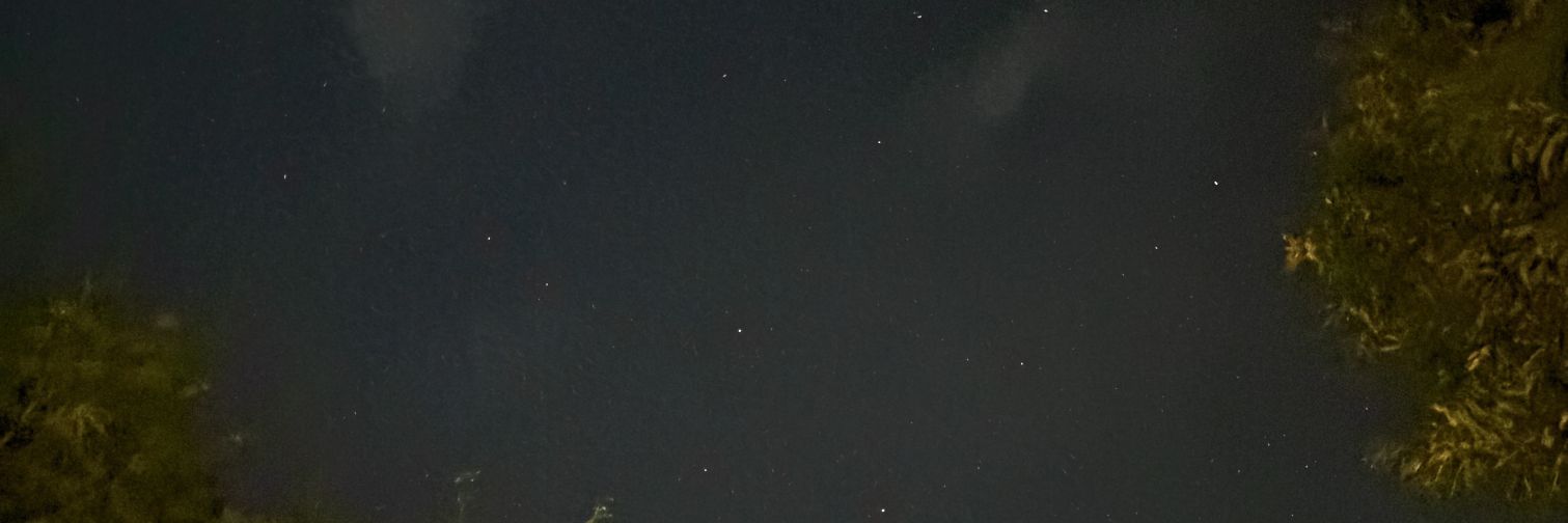 Skyfall's banner