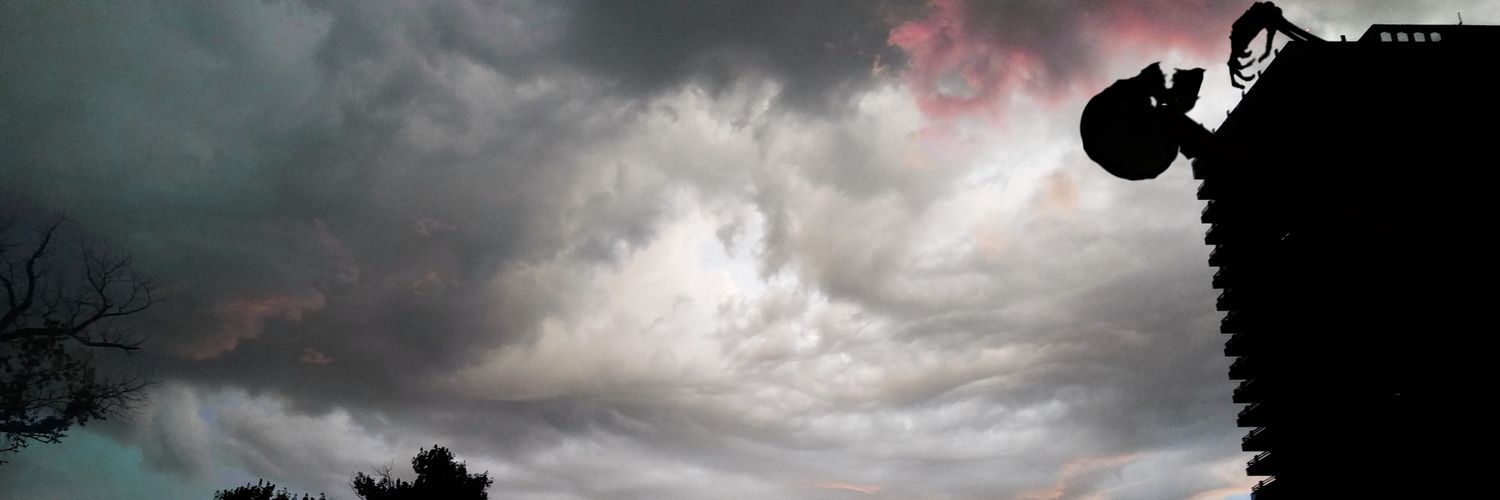 _Zombe_'s profile banner image