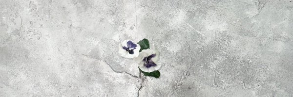 sowhatwoozzazee Profile Banner