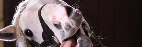 くそみそTECH banner