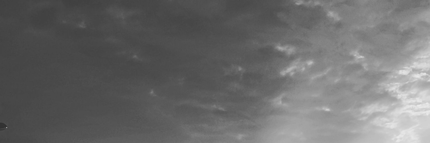 Velaris94's profile banner image
