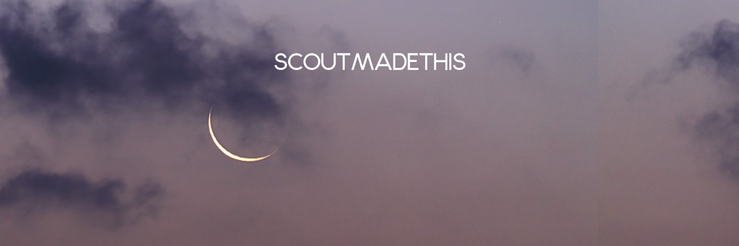 ✌💔Scout banner