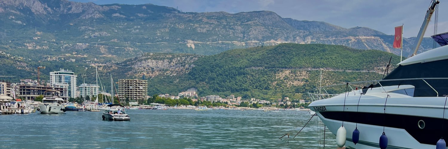 turuncu kedi banner