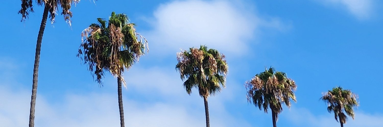 lvknd915's profile banner image
