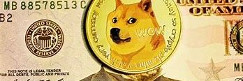 PIFIKDOGE banner
