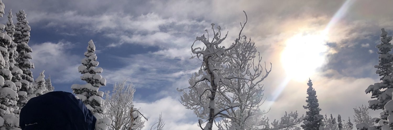 Oldskier62 banner