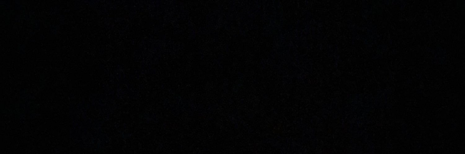 FLIPPER banner