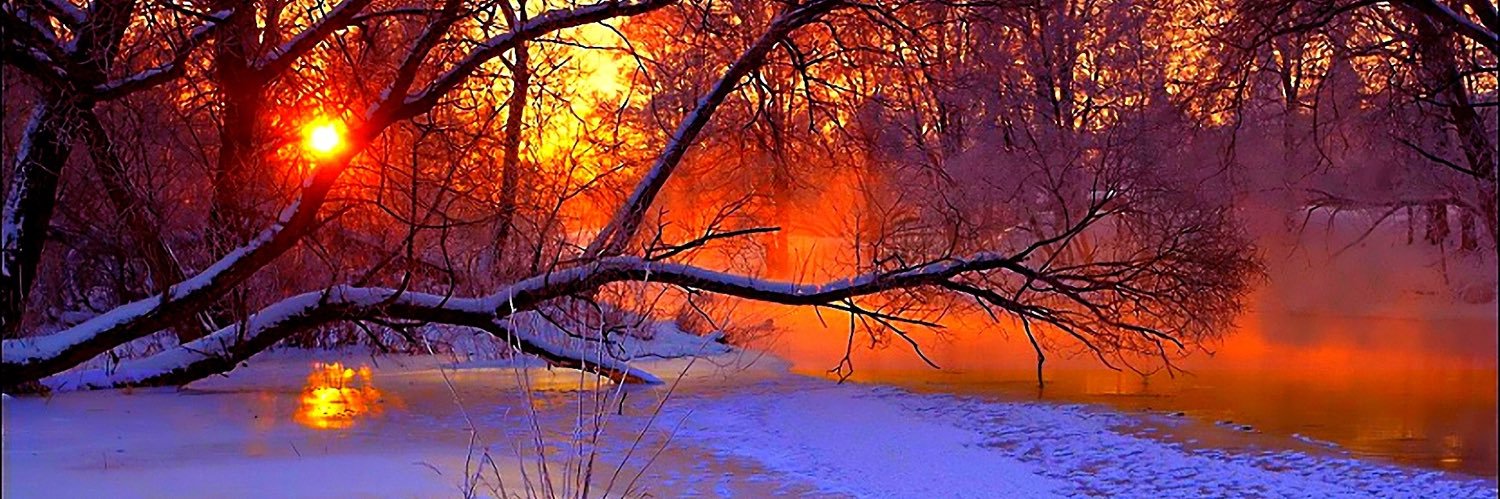 JasperSoftPaws banner