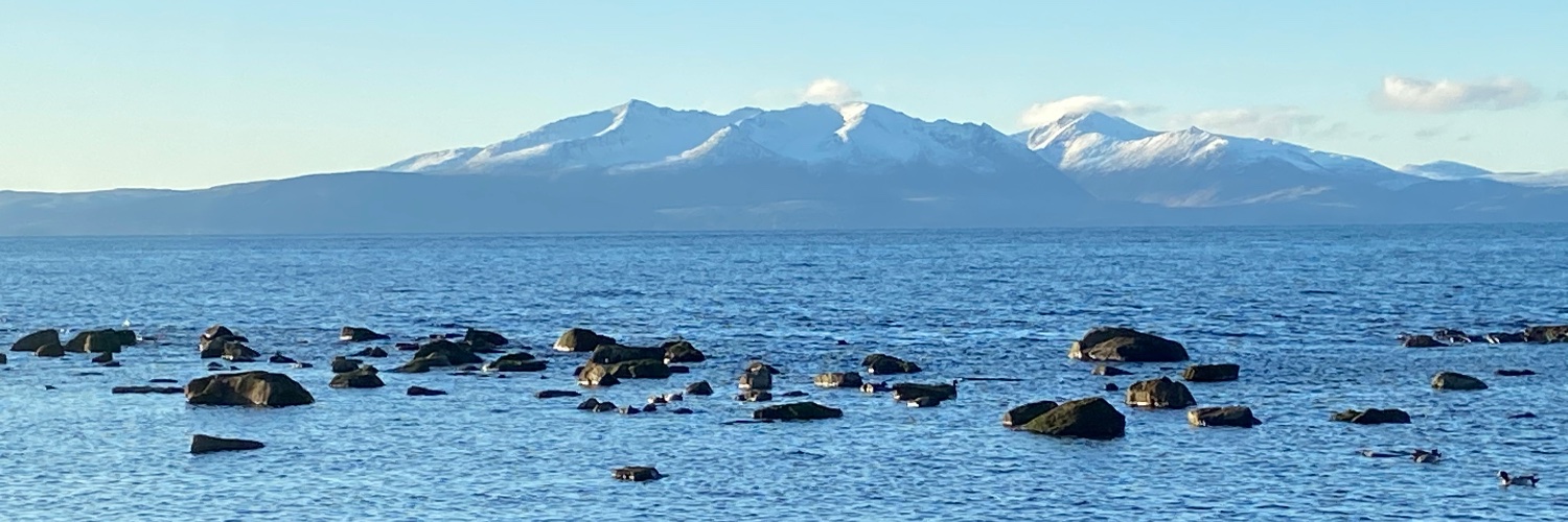 The Sound of Water banner