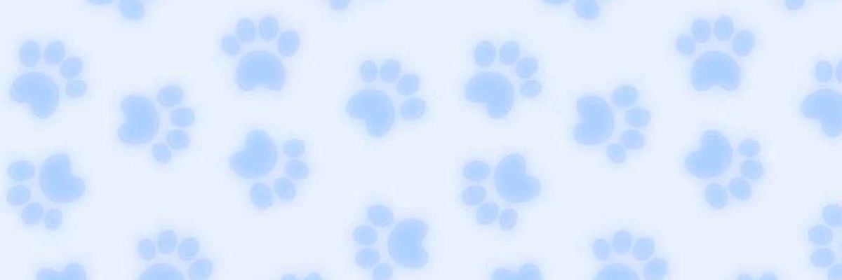SpotsPuppy's profile banner image