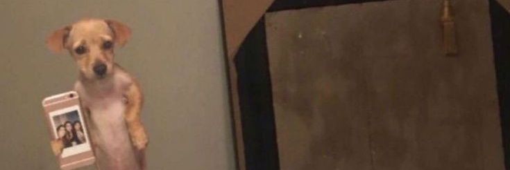💐✨️ banner