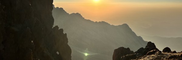 Pawis Profile Banner