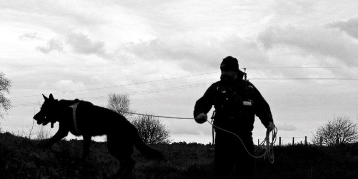 baz_cox's profile banner image