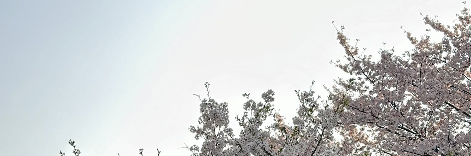 saikoren83's profile banner image