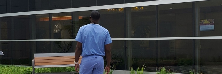 Señor Fantastico banner