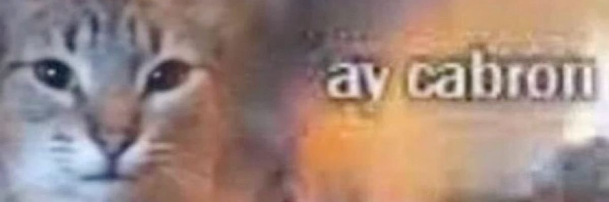 𝙹𝚊𝚢𝚍𝚎𝚗 .𖥔 ݁ ˖ִ ࣪𖤐 banner