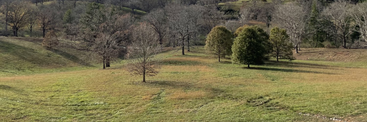 WildernessBabe's profile banner image
