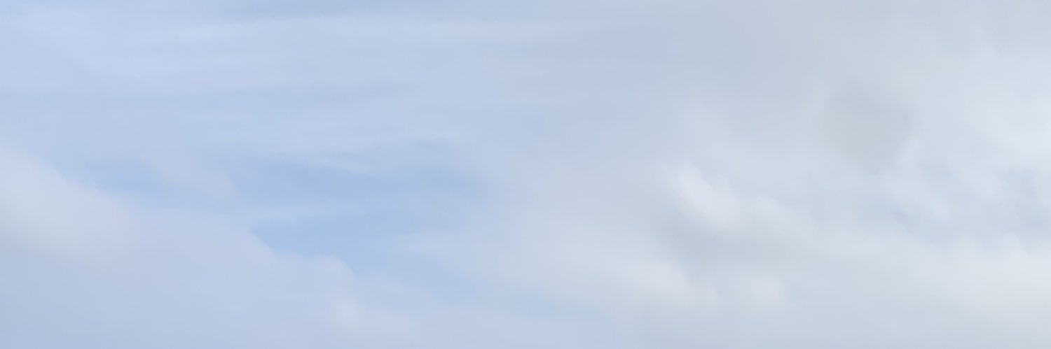 HongJoel's profile banner image