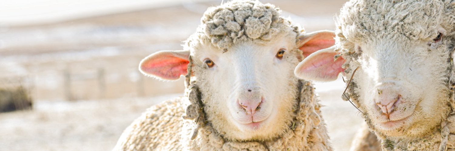 JP Farm and Ranch banner