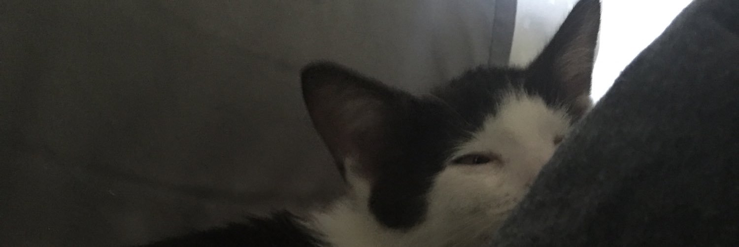 dylan_blob's profile banner image