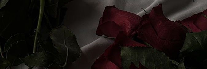 SouaSaraa's profile banner image