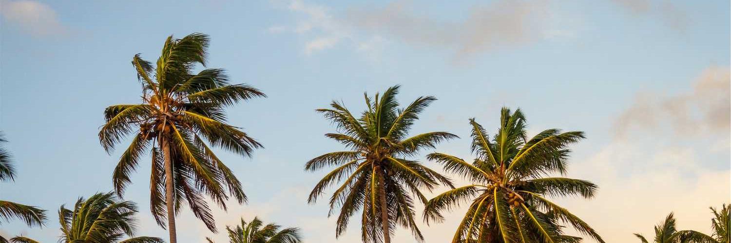 احمد خميس❤️ Memecoin banner