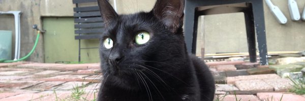 nnori Profile Banner