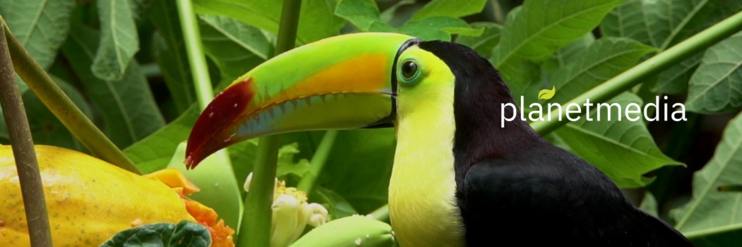 planetmediateam's profile banner image