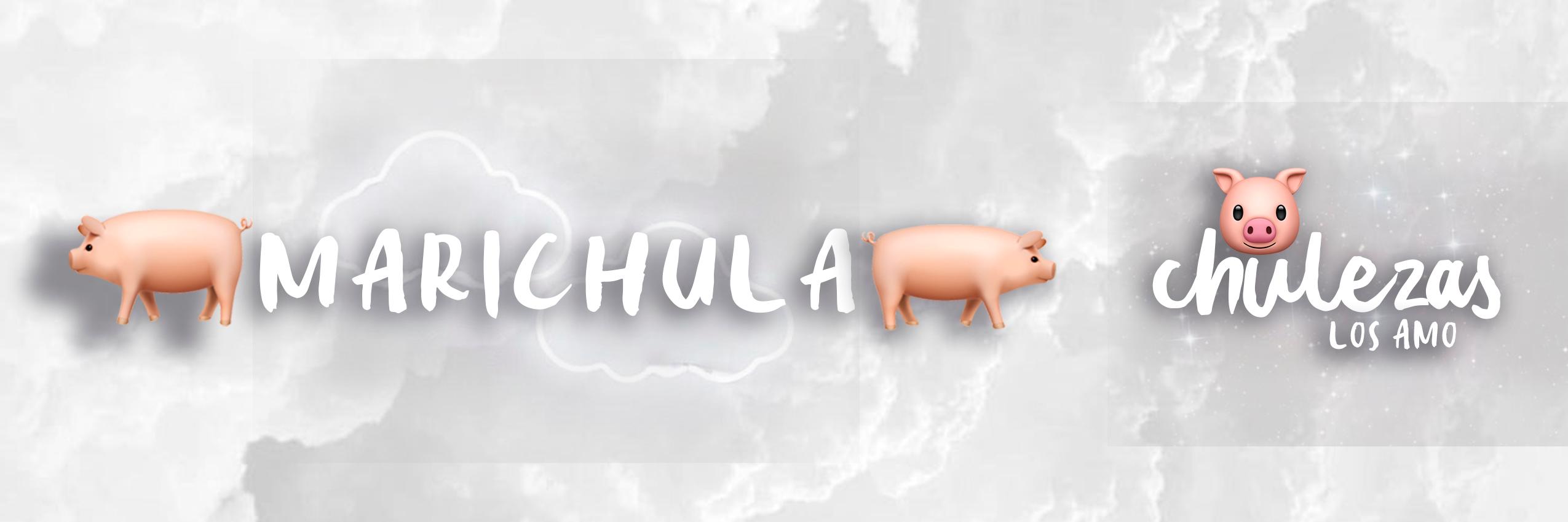 marichulaok's profile banner image
