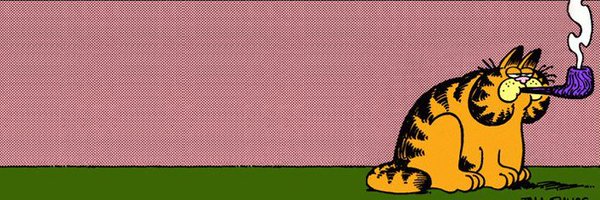 GarfButSwag Profile Banner