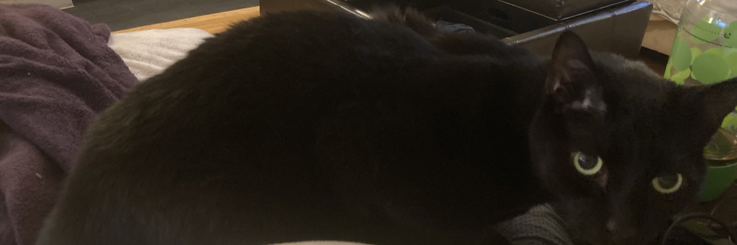 Natesfault.bsky.social banner