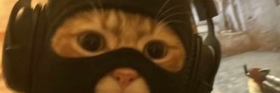 pulex96's profile banner image