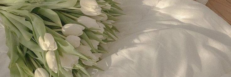 bionem4llla's profile banner image