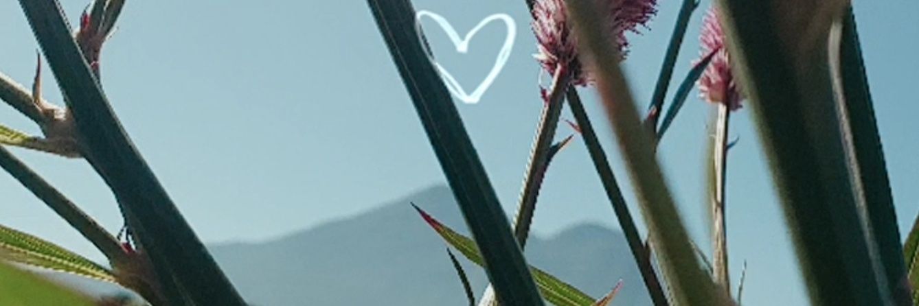Hob7to's profile banner image