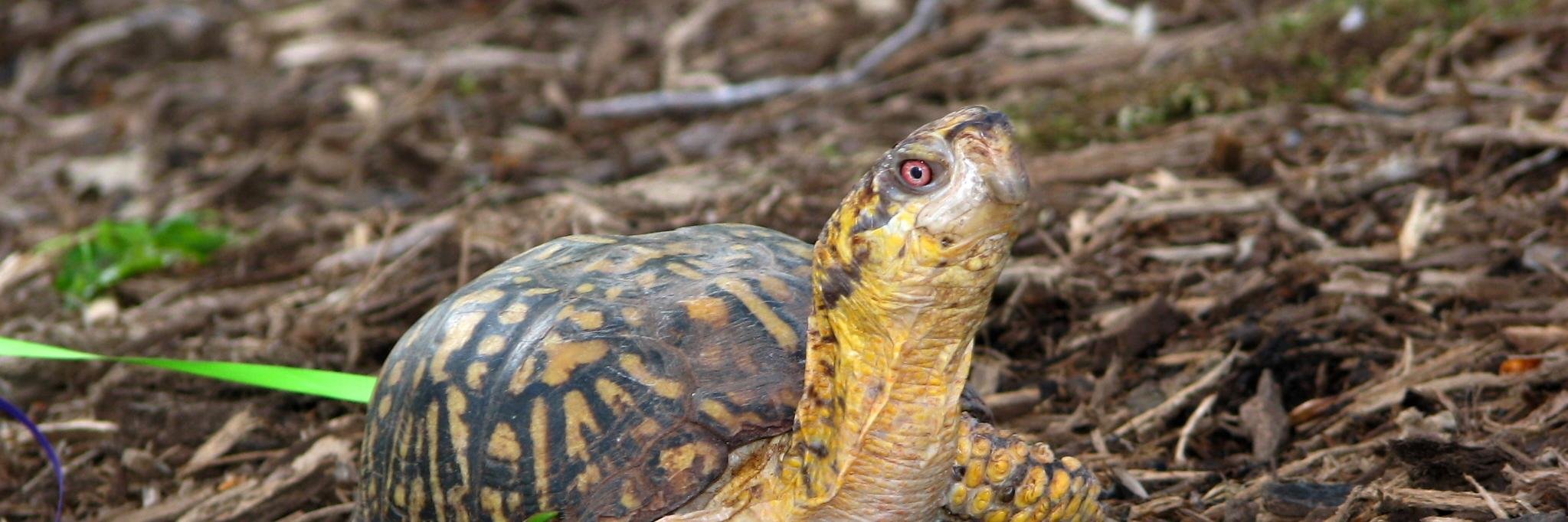 Tiel Lover 🌻🇺🇦 banner
