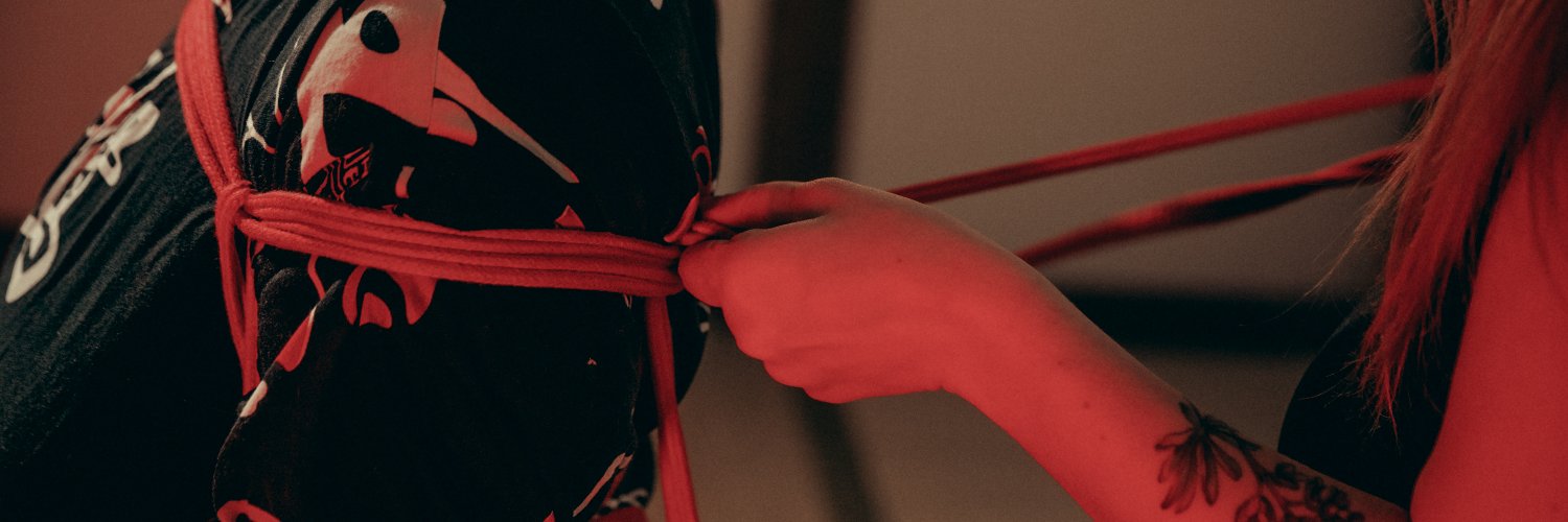 Парад прекрасных дам banner