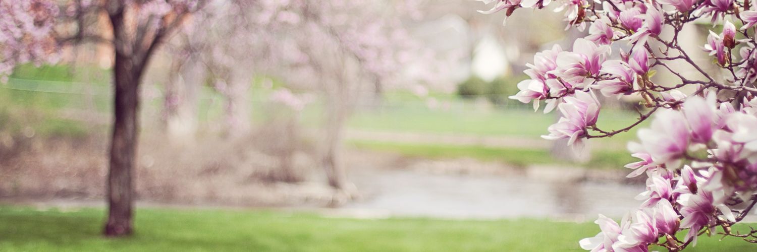 frieska's profile banner image